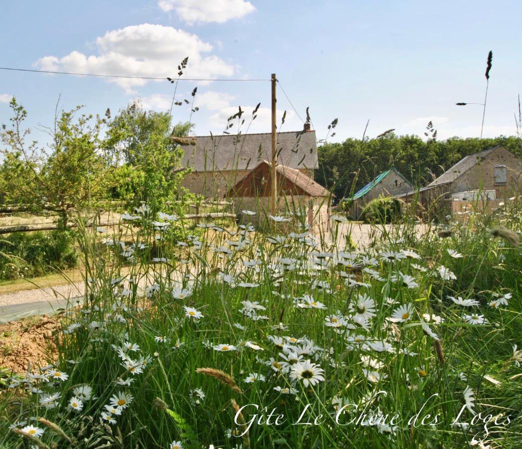 Gite Familial Pour 6 Pers En Campagne Bouere Exterior photo